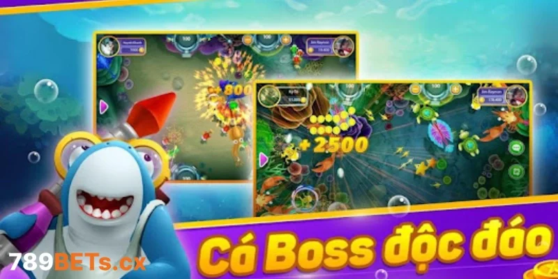 Cá boss – Chìa khóa mở ra kho báu đại dương